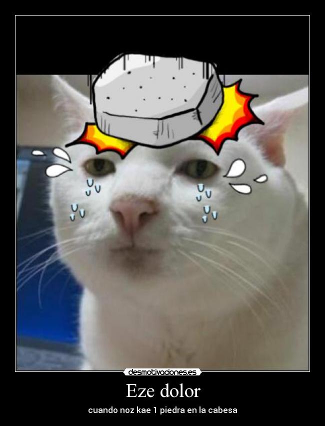 Eze dolor - cuando noz kae 1 piedra en la cabesa