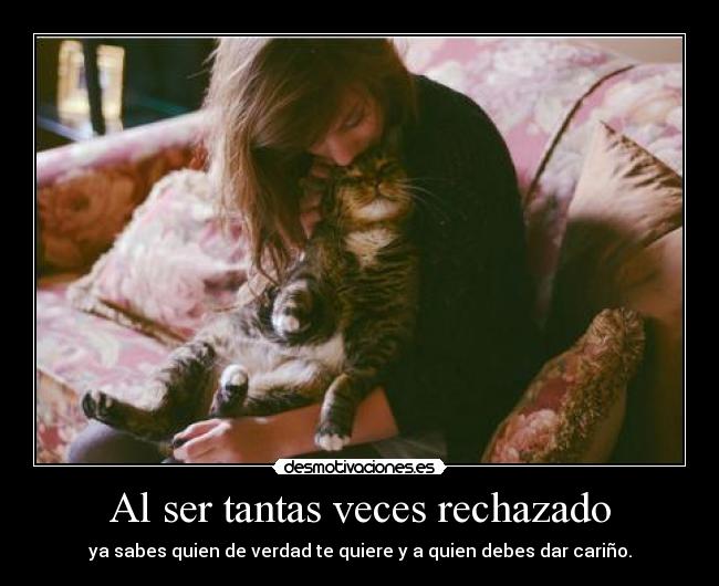 Al ser tantas veces rechazado - ya sabes quien de verdad te quiere y a quien debes dar cariño.