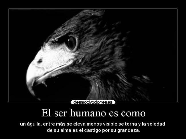 El ser humano es como -