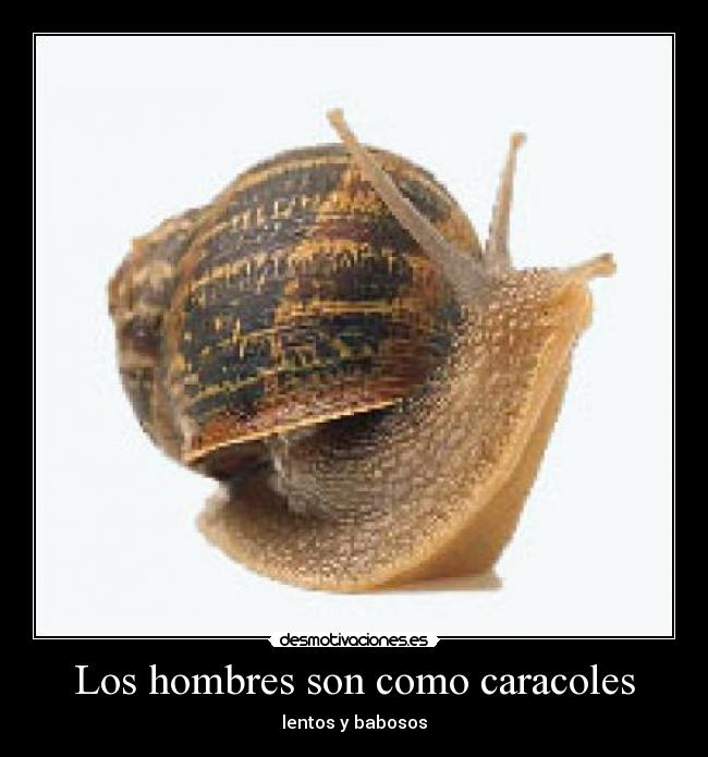 carteles hombres desmotivaciones
