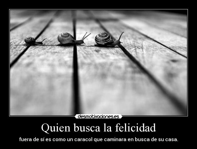 Quien busca la felicidad -
