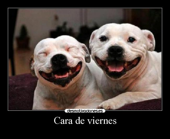 Cara de viernes -