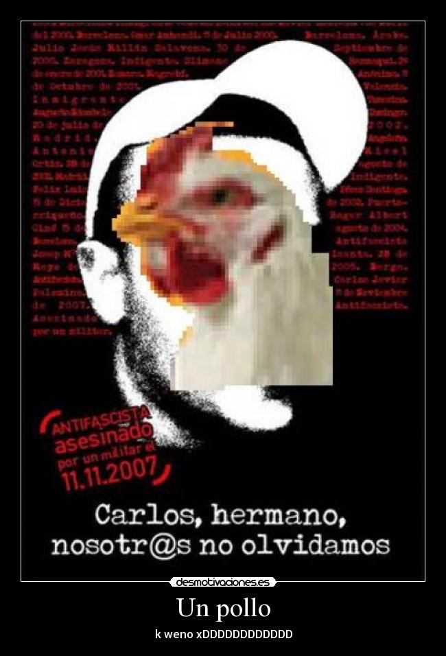 Un pollo - 