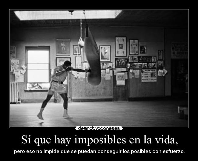 carteles vida cdg cartel programado proyecto mental llosu muhammad ali mejor escrito desmotivaciones