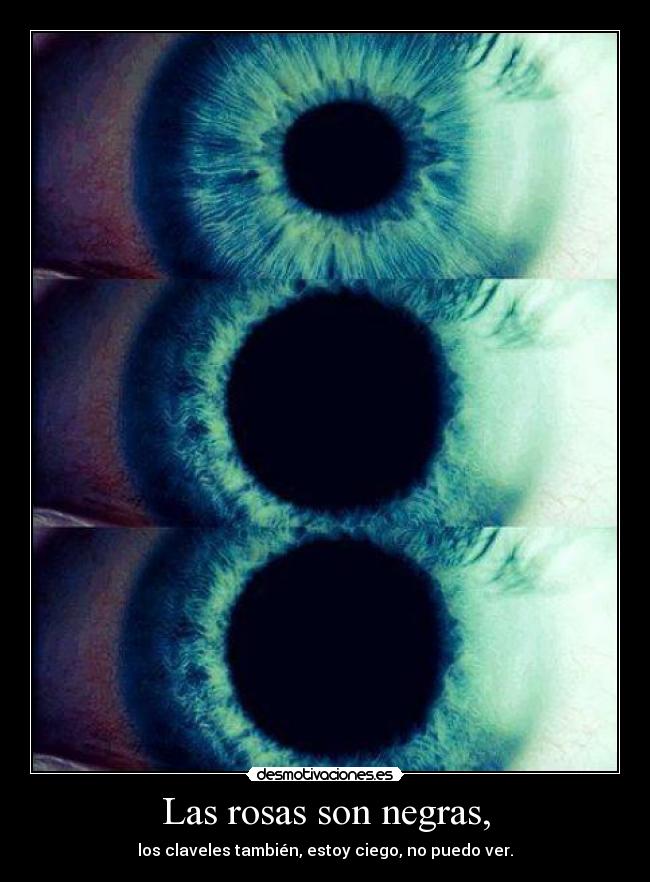 Las rosas son negras, -