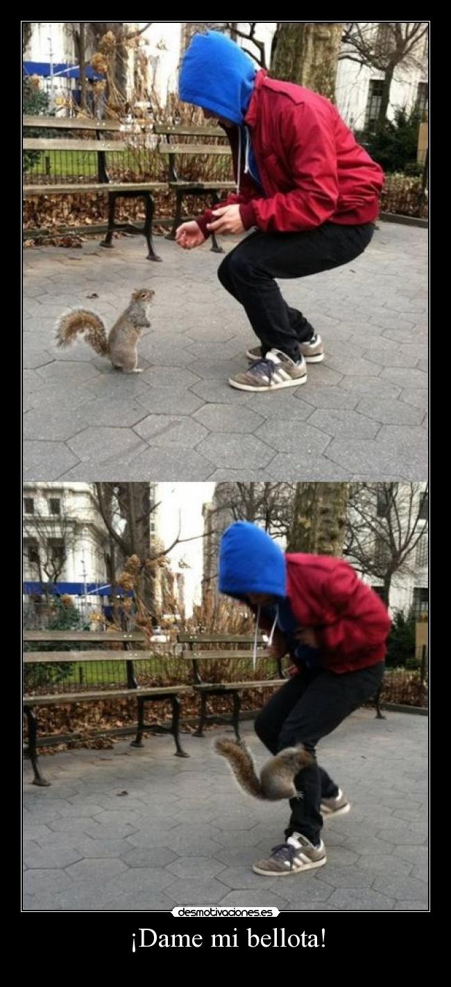 ¡Dame mi bellota! -