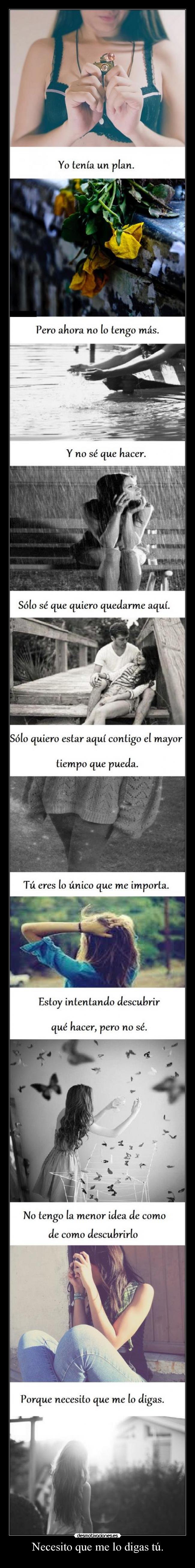 Necesito que me lo digas tú. -