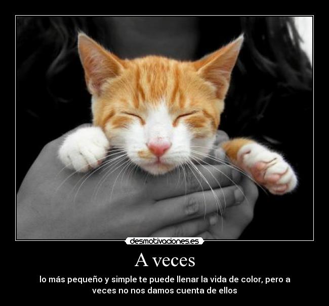 A veces - lo más pequeño y simple te puede llenar la vida de color, pero a
veces no nos damos cuenta de ellos