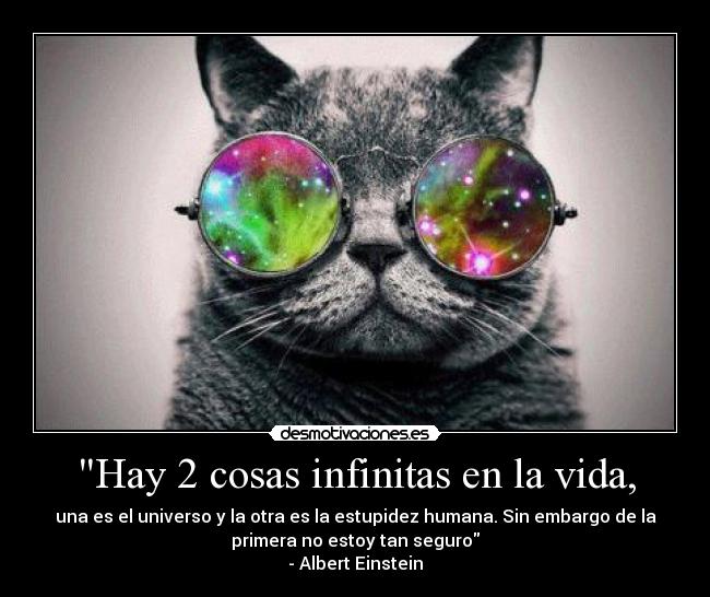 Hay 2 cosas infinitas en la vida, - una es el universo y la otra es la estupidez humana. Sin embargo de la
primera no estoy tan seguro
- Albert Einstein