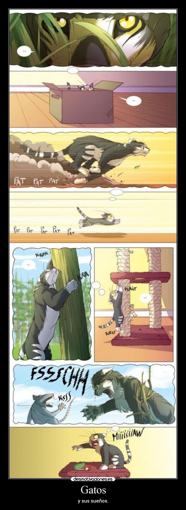 Gatos - y sus sueños.