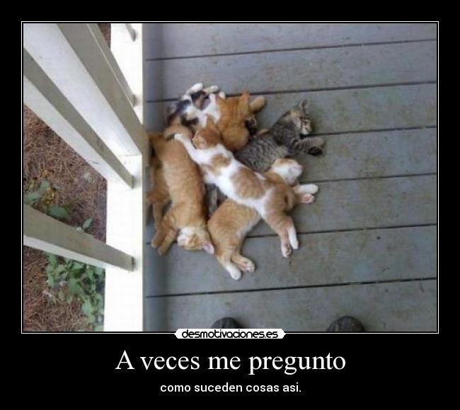 A veces me pregunto -