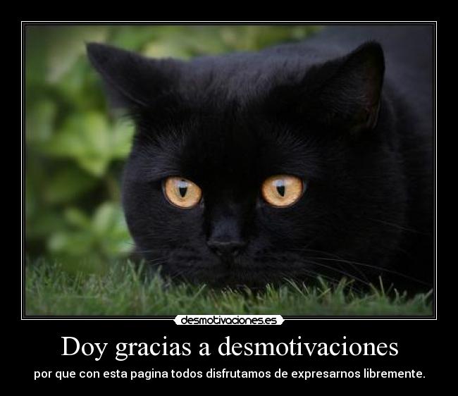 Doy gracias a desmotivaciones - por que con esta pagina todos disfrutamos de expresarnos libremente.