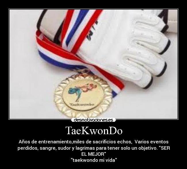 TaeKwonDo - 
