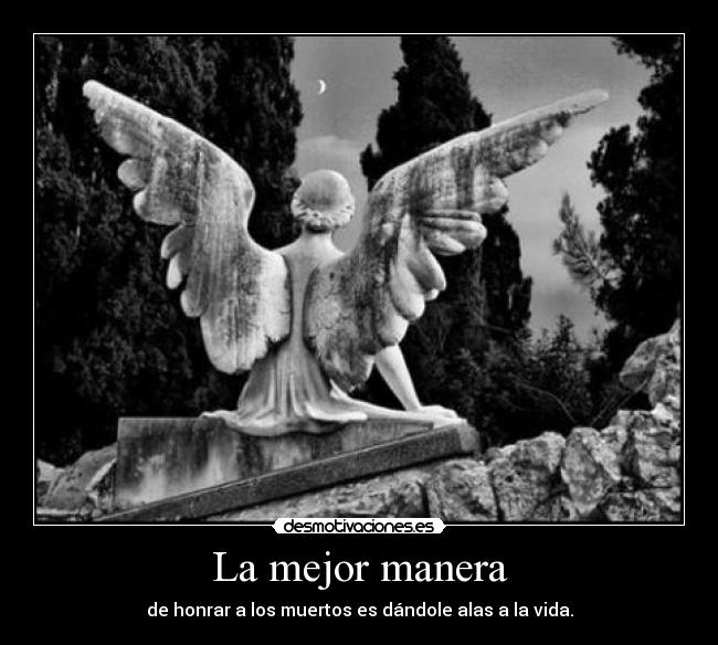 carteles muerte angel alas vida honrar los muertos bandolera desmotivaciones