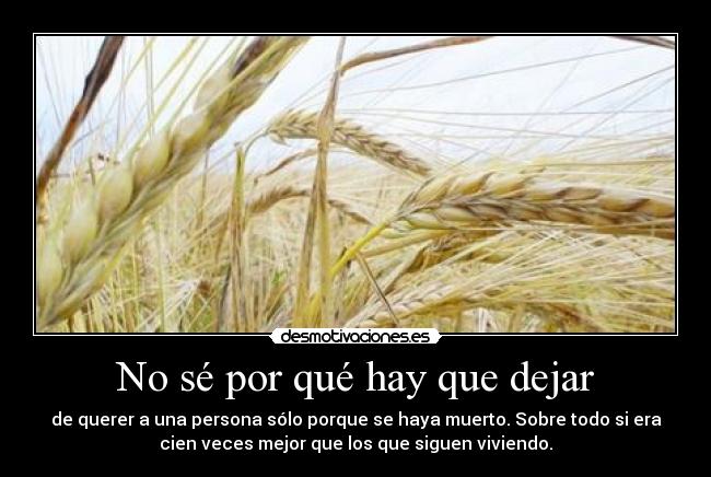 No sé por qué hay que dejar -