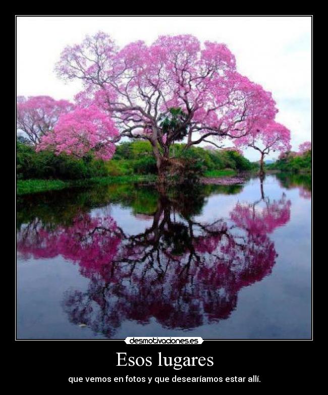 Esos lugares - que vemos en fotos y que desearíamos estar allí.