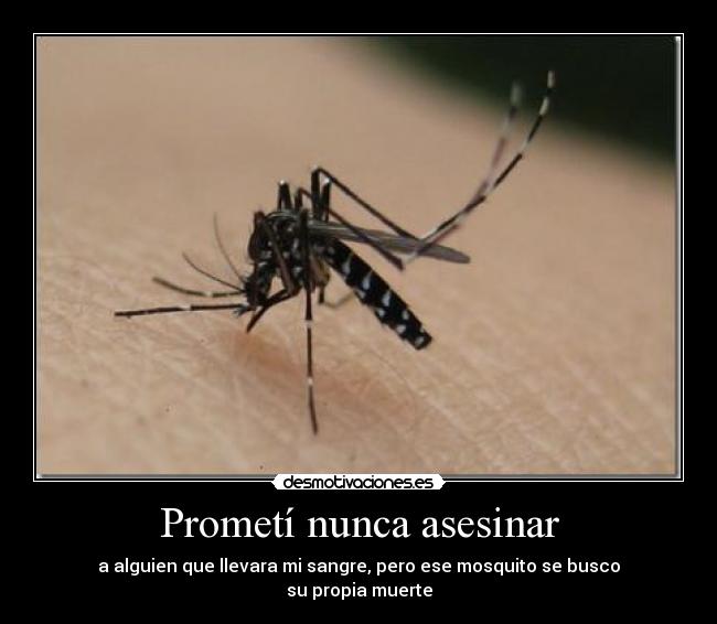 Prometí nunca asesinar - 