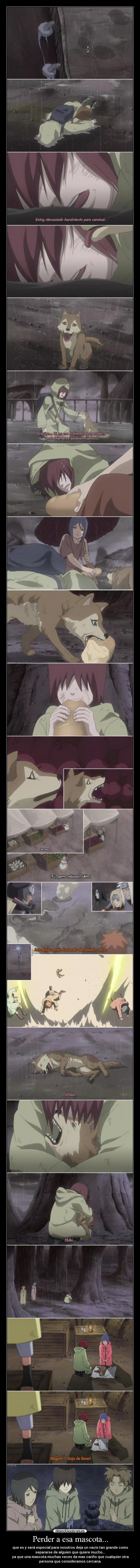 Perder a esa mascota... -