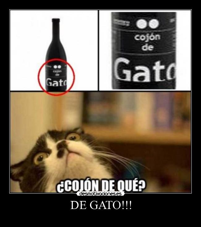 carteles cojon gato desmotivaciones