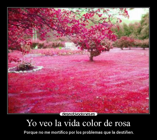 Yo veo la vida color de rosa - Porque no me mortifico por los problemas que la destiñen.