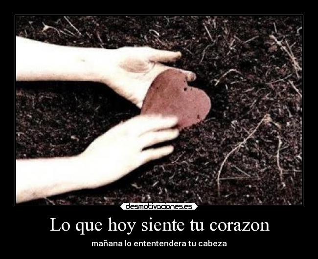 Lo que hoy siente tu corazon - 