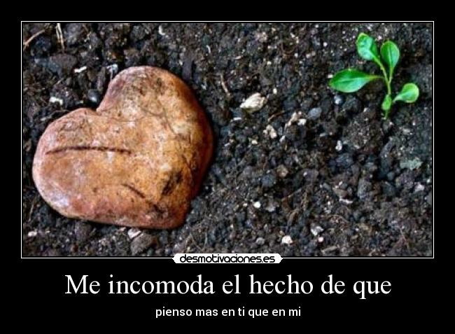 Me incomoda el hecho de que - pienso mas en ti que en mi