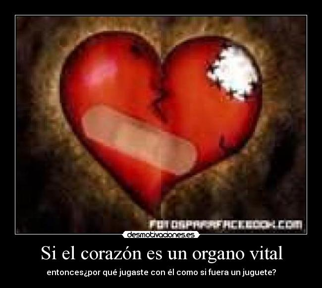 Si el corazón es un organo vital - entonces¿por qué jugaste con él como si fuera un juguete?