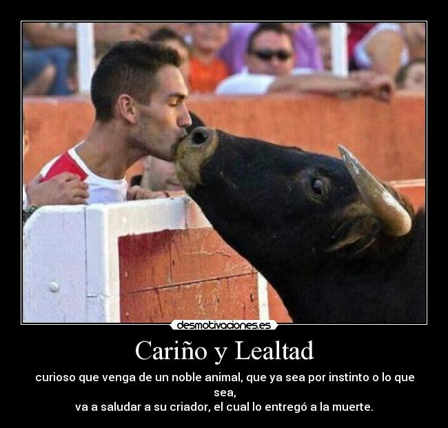 carteles quiero ver cara del criador cuando toro agonizante mire los ojos desmotivaciones