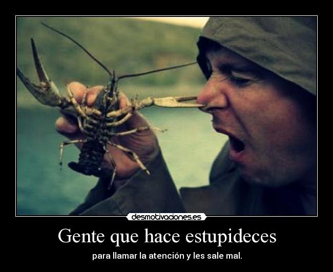 Gente que hace estupideces - 