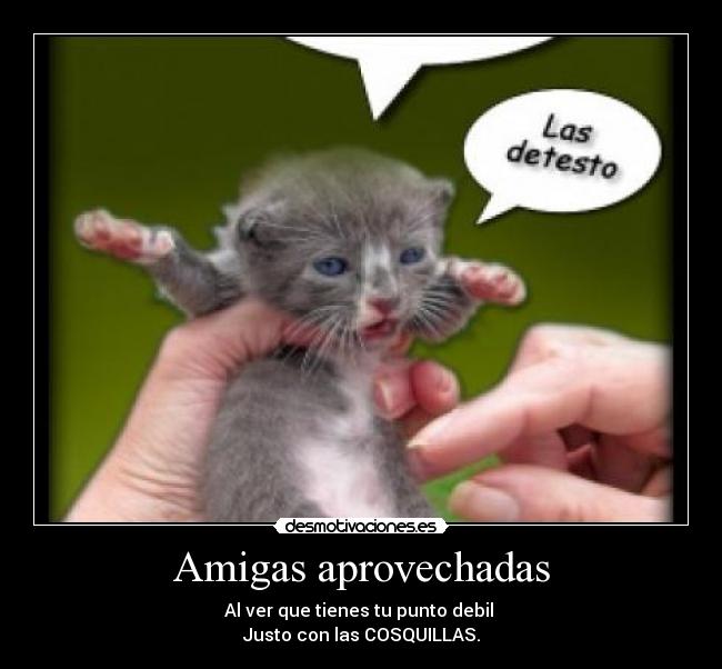 Imagenes Para Amigas Groseras | im 225 genes y carteles de groseras desmotivaciones Imagenes Para Amigas Groseras | im 225 genes y carteles de groseras desmotivaciones