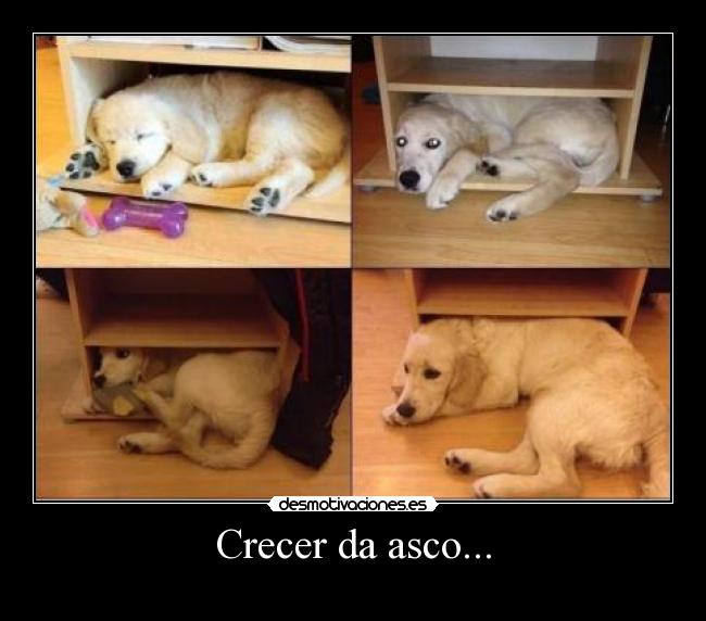 Crecer da asco... -