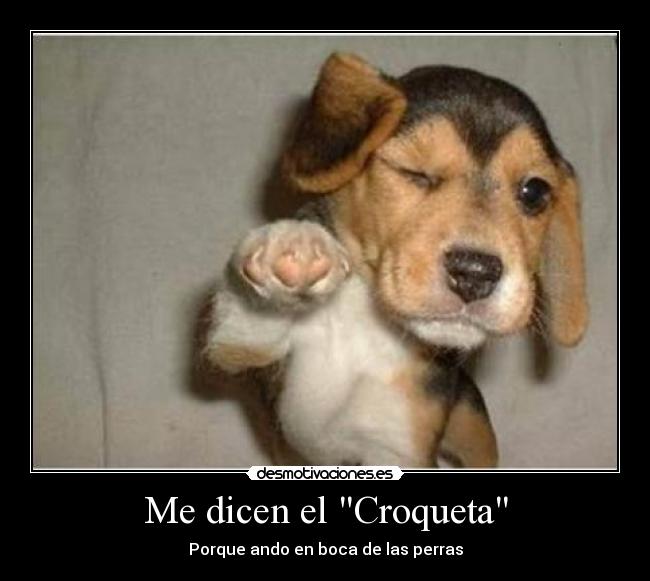 Me dicen el Croqueta - 