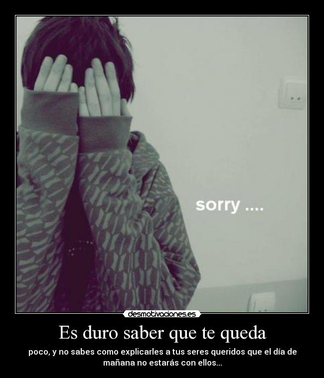 carteles ojala pudiese disfrutar mas con ellos ttott desmotivaciones