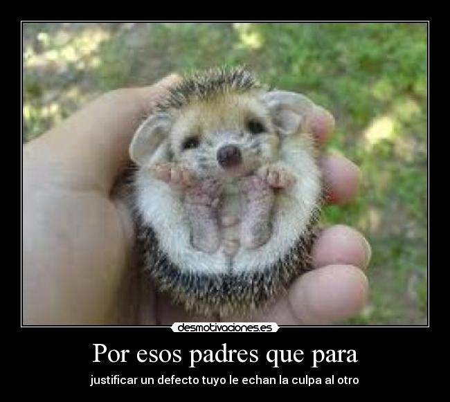 Por esos padres que para - justificar un defecto tuyo le echan la culpa al otro