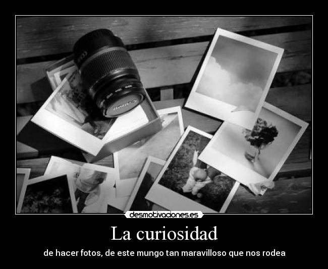 La curiosidad - 