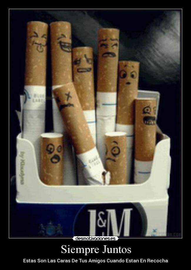 Siempre Juntos - Estas Son Las Caras De Tus Amigos Cuando Estan En Recocha