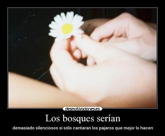 Los bosques serían -