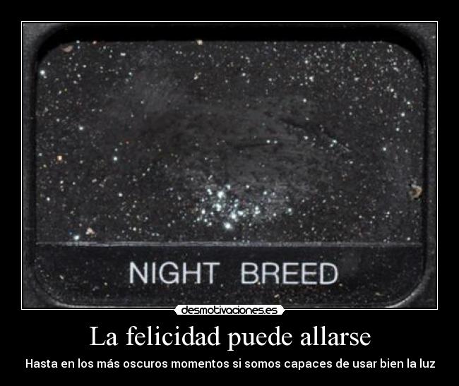 La felicidad puede allarse -