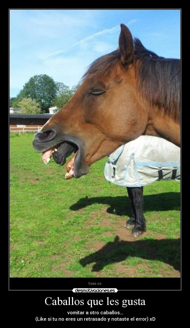Caballos que les gusta -