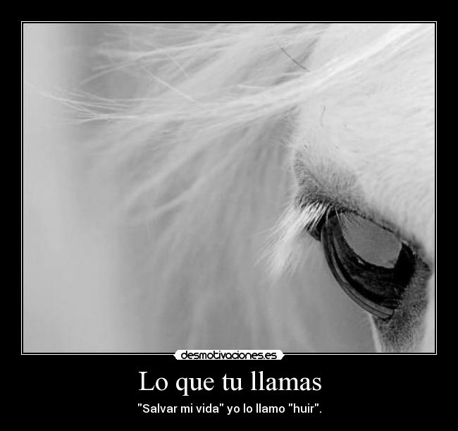 Lo que tu llamas - Salvar mi vida yo lo llamo huir.