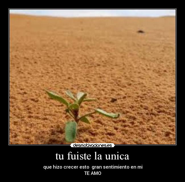 tu fuiste la unica - 