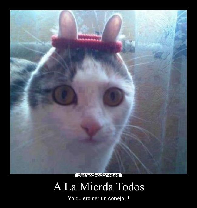 carteles mierda todos desmotivaciones