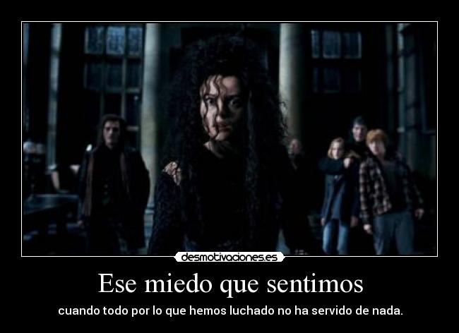 carteles miedo miedo frustracion partes iguales bellatrix lestrange clubidiotasdedesmo desmotivaciones