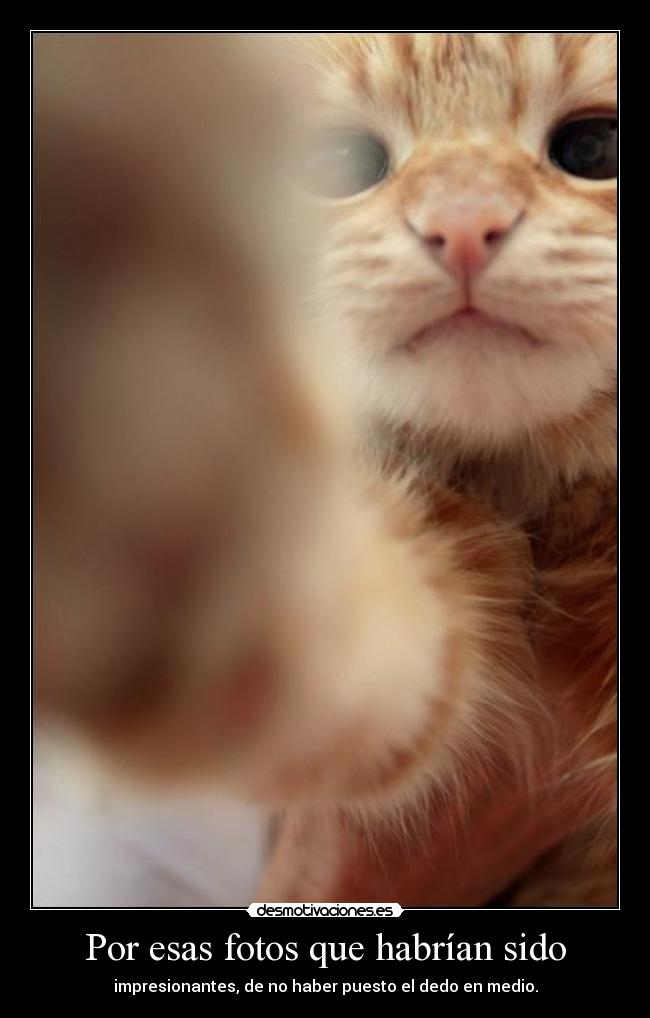 Por esas fotos que habrían sido - impresionantes, de no haber puesto el dedo en medio.