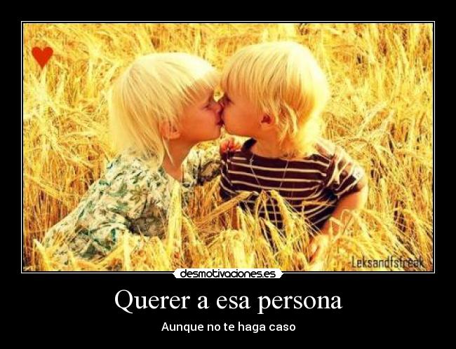 Querer a esa persona - 