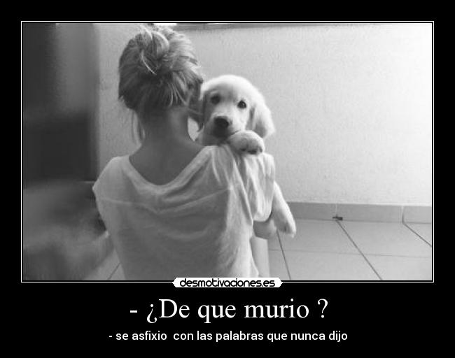 - ¿De que murio ? - 