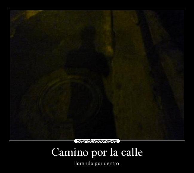 carteles francycano desmotivaciones