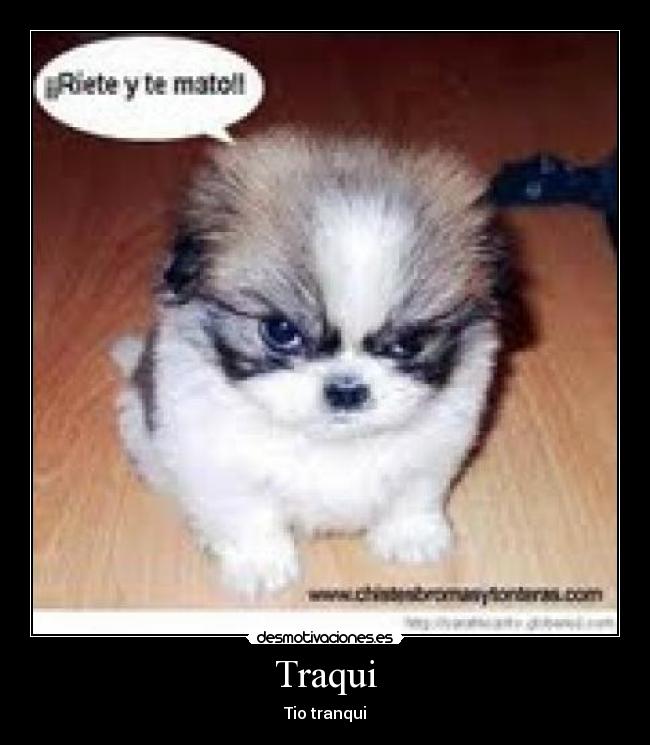 Traqui - Tio tranqui