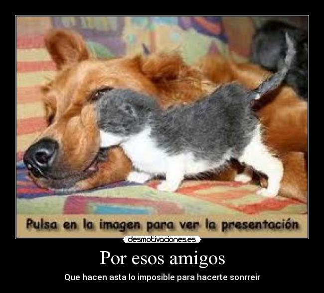Por esos amigos - Que hacen asta lo imposible para hacerte sonrreir