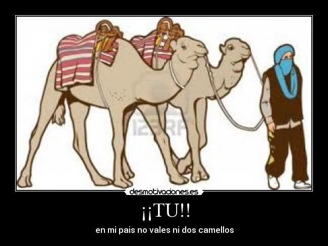 ¡¡TU!! - en mi pais no vales ni dos camellos